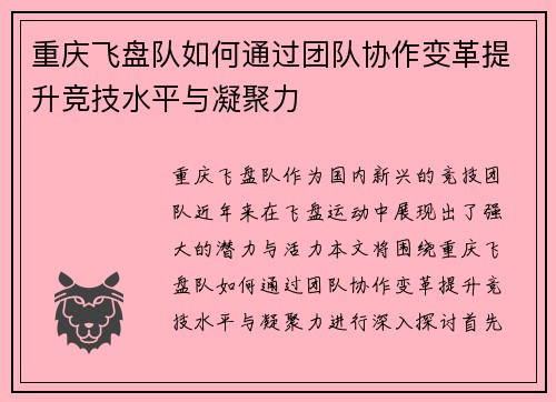重庆飞盘队如何通过团队协作变革提升竞技水平与凝聚力